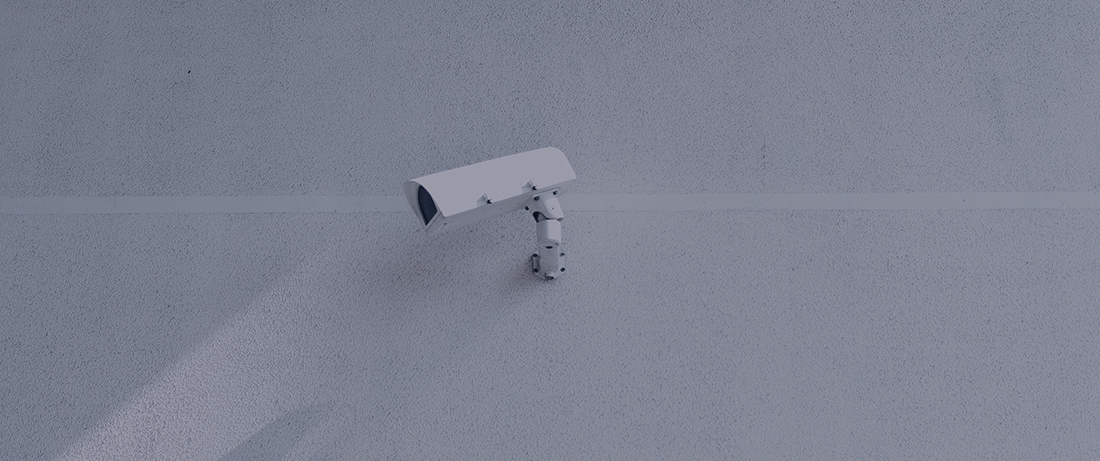 A Beautiful Eco-system of Security Cameras are coming